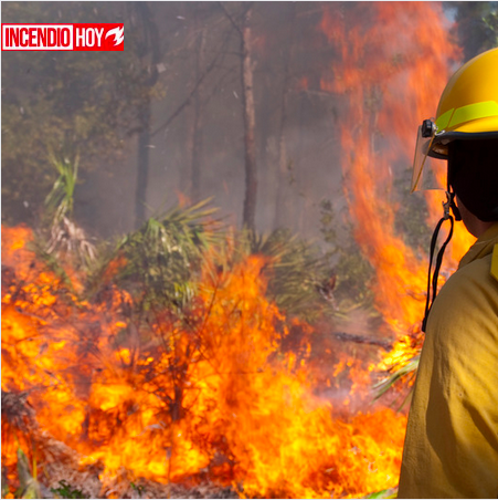 Los bomberos evitan el primer incendio forestal de esta primavera en Pinoso