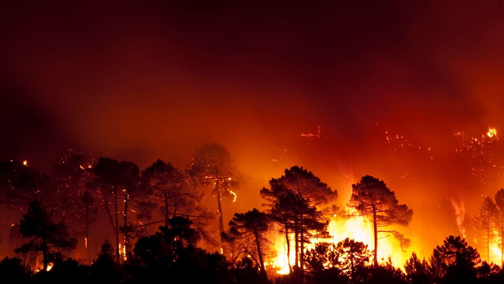 Incêndios hoje. Notícias de incêndio hoje 2