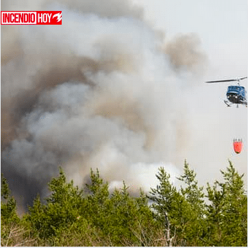 El Trágico incendio de la Sierra de la Culebra (Zamora)
